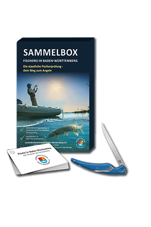 Sammelbox "Premium Bundle"