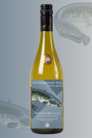 Verbandswein 2026 – Grauburgunder Kabinett trocken zum Fisch des Jahres: Europäischer Wels